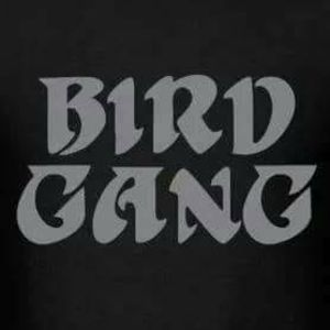 Meet your Posher, Jerome